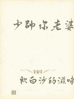 少帅你老婆