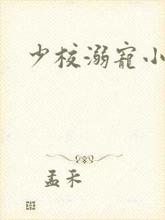 少校溺宠小小妻