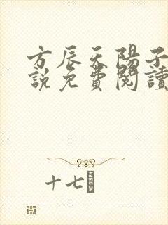 方辰天阳子的小说免费阅读