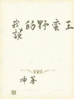 我的野蛮王妃小说