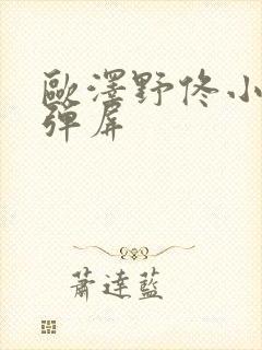 欧泽野佟小曼无弹屏