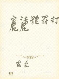 家法体罚打丫鬟屁屁