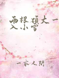 两根硕大一起挤入小雪