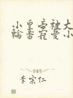 小皇帝被大臣们轮番宠爱小说