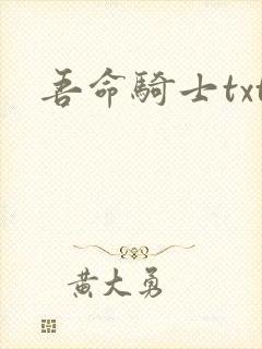 吾命骑士txt