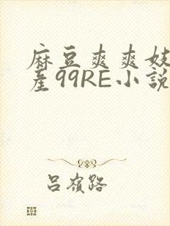 麻豆爽爽妓女国产99RE小说