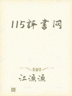 115评书网