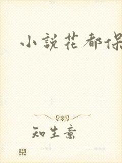 小说花都保镖