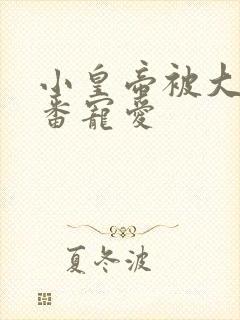 小皇帝被大臣轮番宠爱