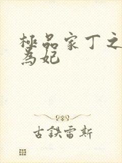 极品家丁之册母为妃