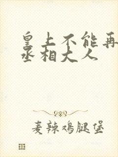 皇上不能再进了丞相大人