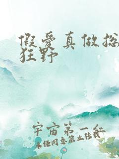 假爱真做总裁太狂野