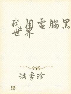 我用电脑黑了全世界