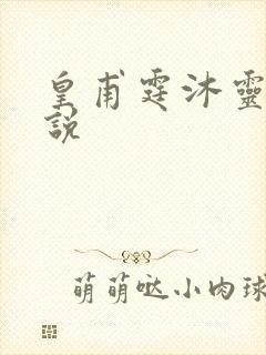 皇甫霆沐灵芸小说