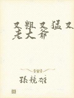 又粗又猛又大爽老大爷