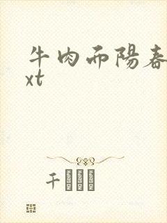 牛肉面阳春面txt