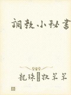 调教小秘书