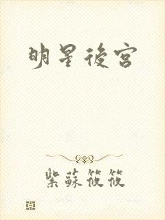 明星后宫