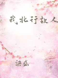 我北行故人南去