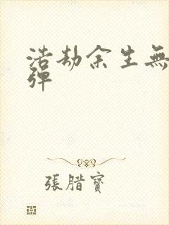 浩劫余生无限子弹