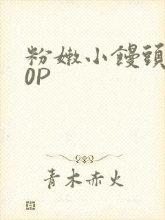 粉嫩小馒头泬90P