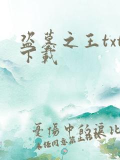 盗墓之王txt下载