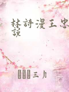 林诗漫王忠文小说