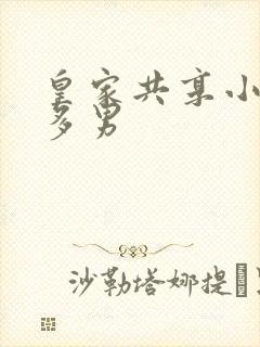 皇家共享小公主多男