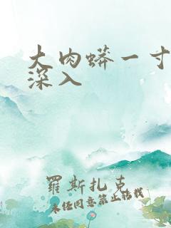 大肉蟒一寸寸地深入