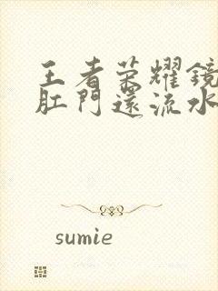 王者荣耀镜被捅肛门还流水