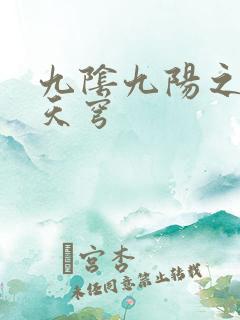 九阴九阳之武战天穹