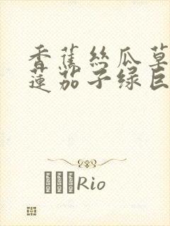 香蕉丝瓜草莓榴莲茄子绿巨人免费