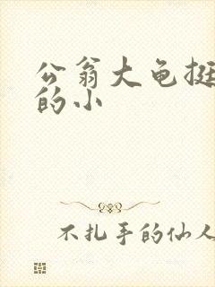 公翁大龟挺进我的小