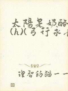 太阳是奶酪做的(h)(弓行永夜)