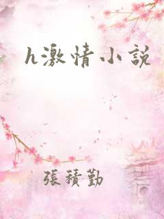 h激情小说
