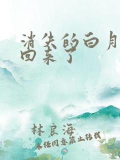 消失的白月光又回来了