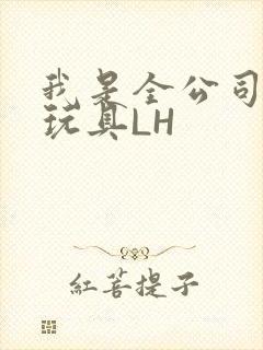 我是全公司发泄玩具LH