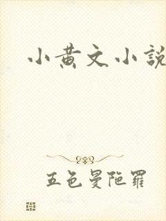 小黄文小说