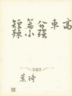 短篇公车高h肉辣小强