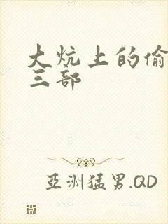 大炕上的偷乱第三部