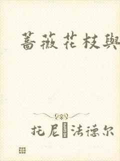 蔷薇花枝与灰烬