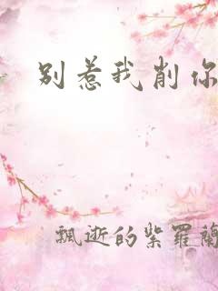 别惹我削你
