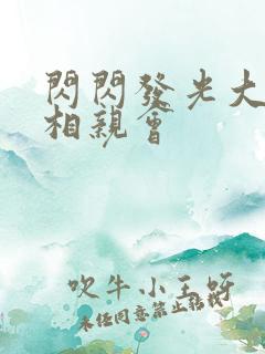 闪闪发光大团圆相亲会