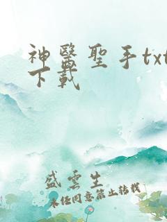 神医圣手txt下载