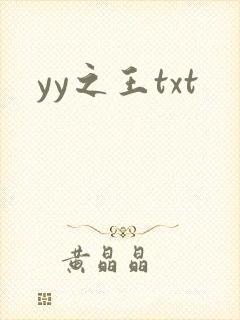 yy之王txt