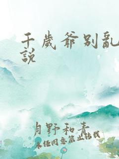 千岁爷别乱来小说