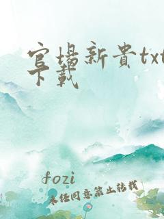 官场新贵txt下载