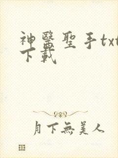 神医圣手txt下载
