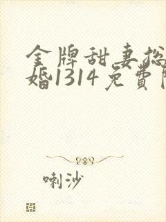 金牌甜妻总裁宠婚1314免费阅读
