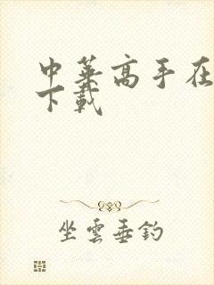 中华高手在异世下载